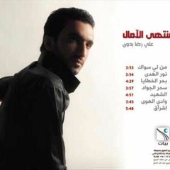 أشكو إليك خطيئتي || من لي سواك || علي رضا بدوي