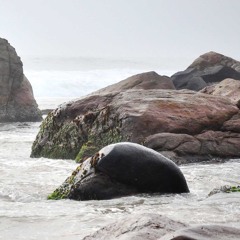 China Kanna Azhaikiraan Overlapped on my keys