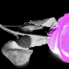 Purple Rose vol.2 (techno mixtape 25.11.2016)