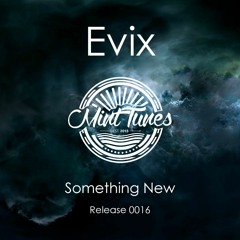 Evix - Something New