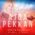Artwork for Ajda Pekkan - Sen Iste ( Yakar Allevici Remix Extended )