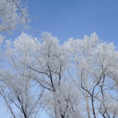 Па - Де - Де Из Балета  Щелкунчик