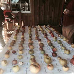 False True Love (appalachian trad.)