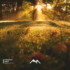 Subsequent - Amber
