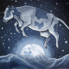 Straight To The Moon Ft. Fitz (prod. Lumi Beats)