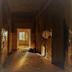 The Minimal Project - Room (Sek7or remix)