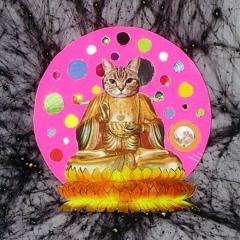 Cat Alley