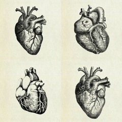 Language Of My Heart