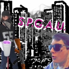 S.P.G.A.U. - Metro Birmingham Wild Boys [clean]