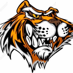 THAI VS TIGER MASHUP #HARISSAFUAN