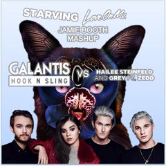 Starving Love On Me (Jamie Booth Mashup) - Hailee Steinfeld, Grey & Zedd vs Galantis & Hook N Sling