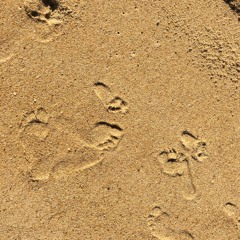 spring (lounge live)