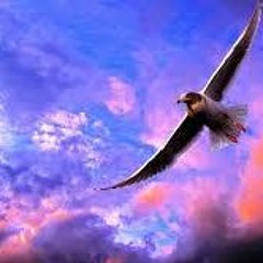 Can You Take Me Higher - Creed Cover / Live From The Black Bear Pub In Toronto