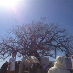 Ya Fajri Lama + Ilhabib Araftu + Mali Ghina