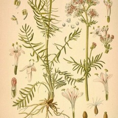 Astral Valerian - Robot City (Original Mix)