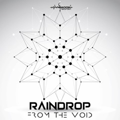 01 - Raindrop - From The Void