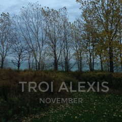 NOVEMBER (Prod. TroiAlexis)
