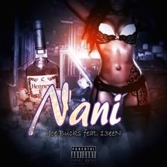 Nani Feat 13eeN