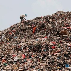 So-Called Waste: Edible Food & Building Materials