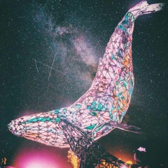 Nicolas Ibanez - Star Luuver