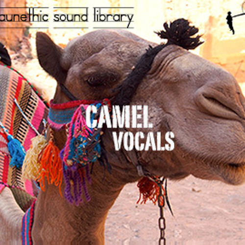 Stream Camel Vocals Camel Sound Effects Library by A Sound Effect