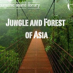 Beats Divine 14 MiMixASC