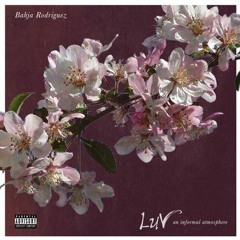 Bahja Rodriguez Say It (feat. Kodie Shane)