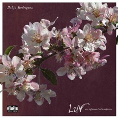 Bahja rodriguez Another Luv Song(feat. Zonnique)