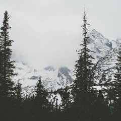 Winter. (100 follower special)