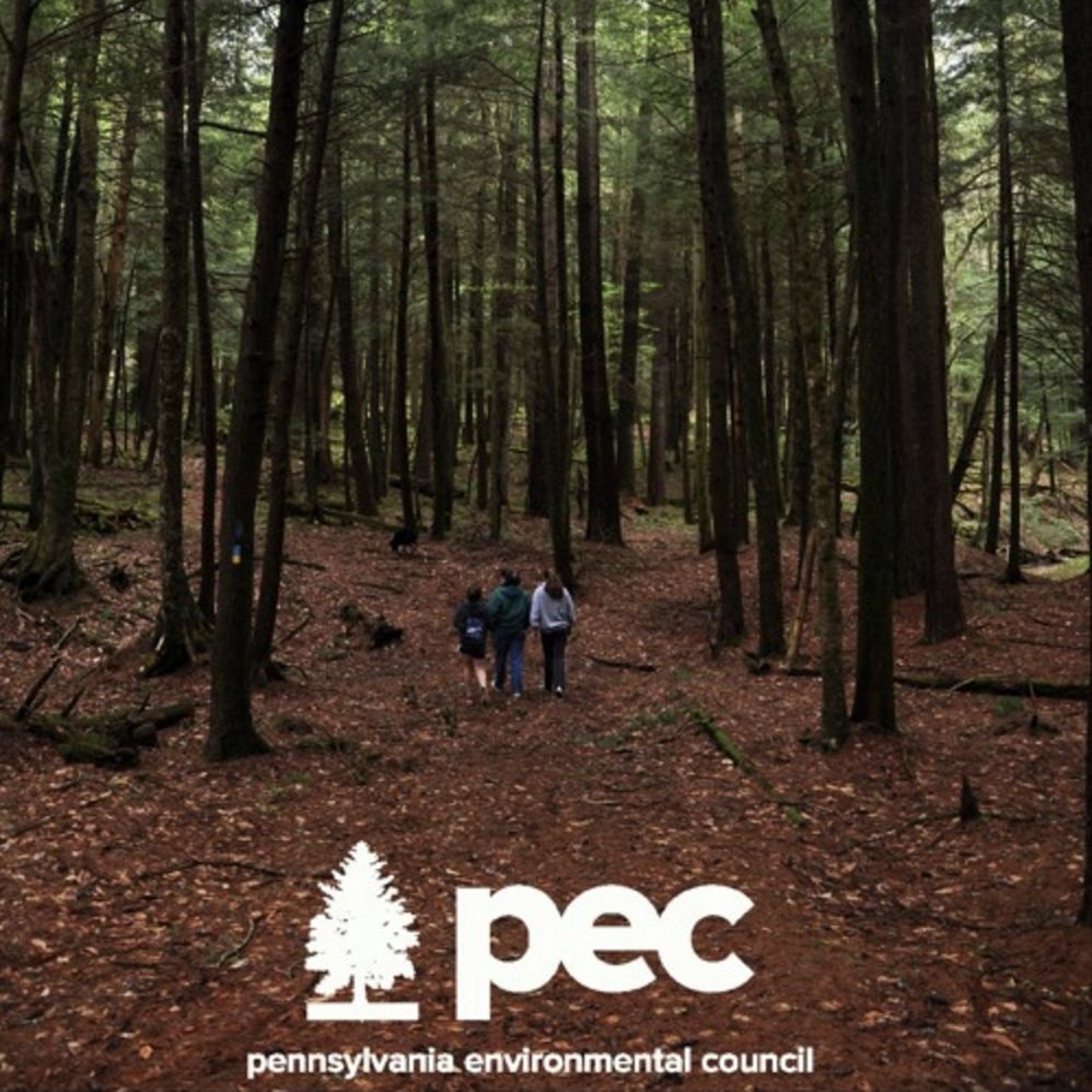 Pennsylvania Legacies