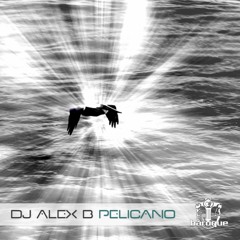 01 - Dj Alex B - Pelicano (Original Mix) - (Preview)