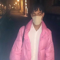 ECCO2K - beautySleep