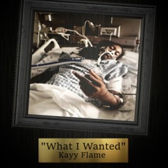 What I Wanted [Prod. by TL On The Beat]