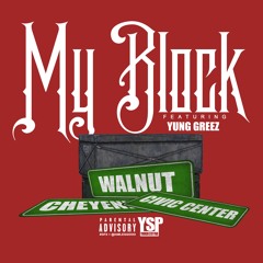 YSP- My Block ft. Yung Greez