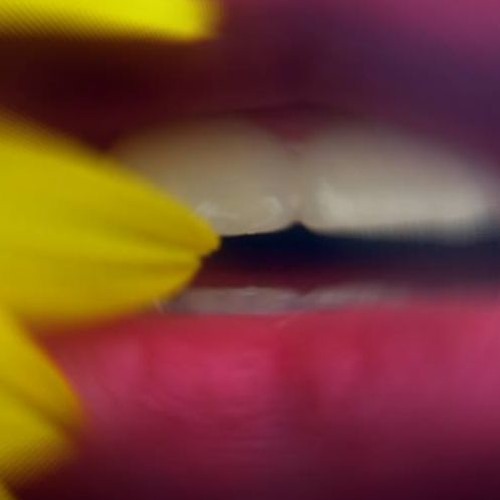 DEEP PULSE MAGIC BY KSTAR22 (FREE WAV DOWNLOAD)