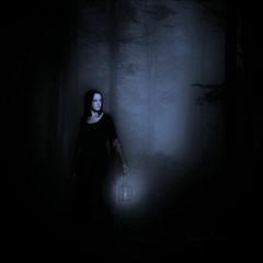 Dark Forest (Music by Dennis Tschirner)