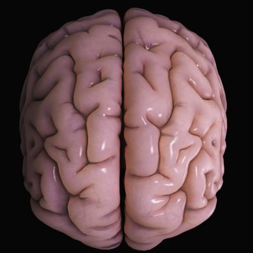 Syntopia (live rework).[EMX-1 + TecRoc-Syntopia (Darkapella)]