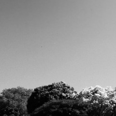 Cae Maia - Homem De Bem (DEMO)