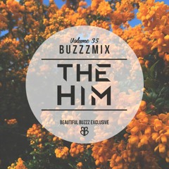 Buzzzmix Vol. 35 - The Him