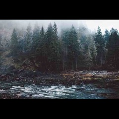 Peach Avenue - Frogs At Night (The Severed Garden)