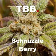 TBB. - Schnazzleberry