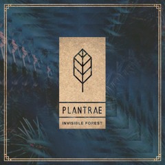 Plantrea