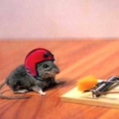 Mouse Trap Vol. 2  Ft. Mo BASS