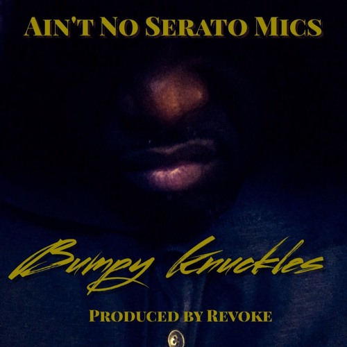 Ain't No SERATO MICS