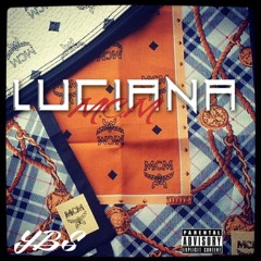 LUCIANA M.C.M