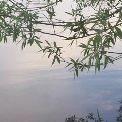 Alabama Shakes - Over my head (CORESAP X GRIMPIXXI REMIX)