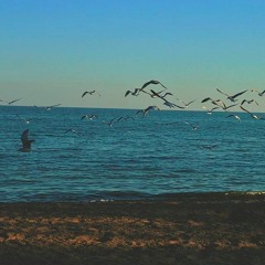 AR's Waves