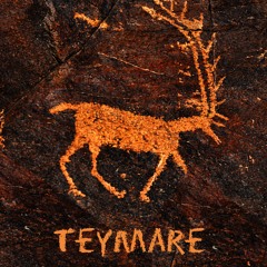 Teymare Mirror Of Waves