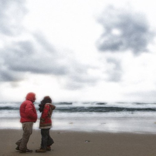 Simplicily - netanel goldberg & jackie fay
