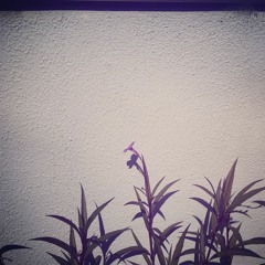 男の子ばかばか / ともちゃん９さい と span